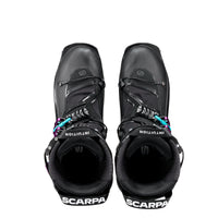 F1 XT WOMEN'S (NEW)