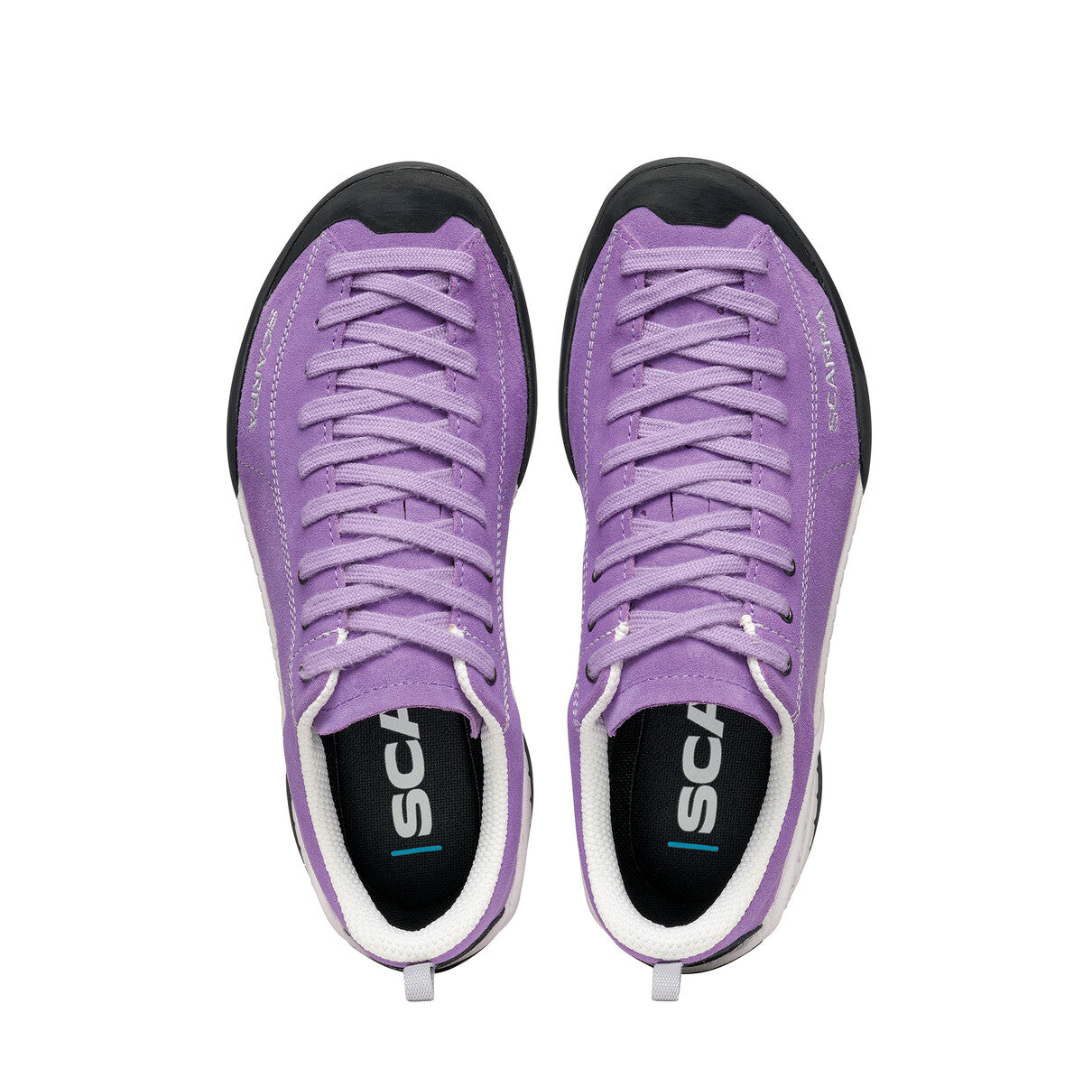 SCARPA | MOJITO WOMEN'S (FALL 2024)