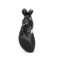 BLACKBIRD (NEW)