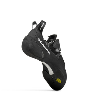 BLACKBIRD (NEW)