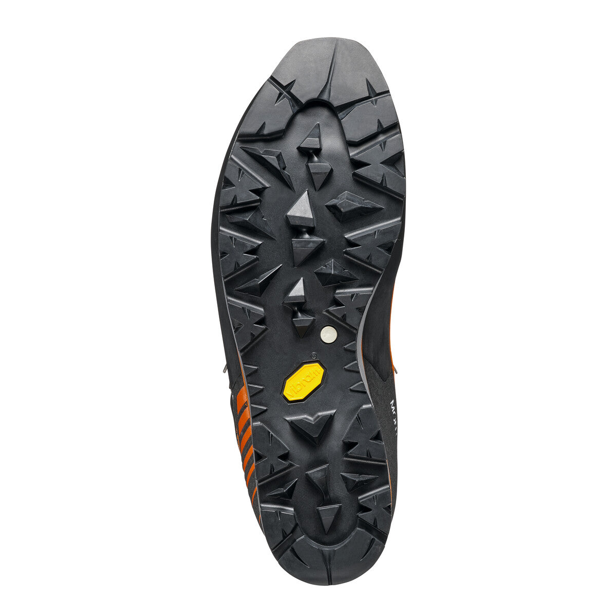 MONT BLANC PRO GTX MEN'S