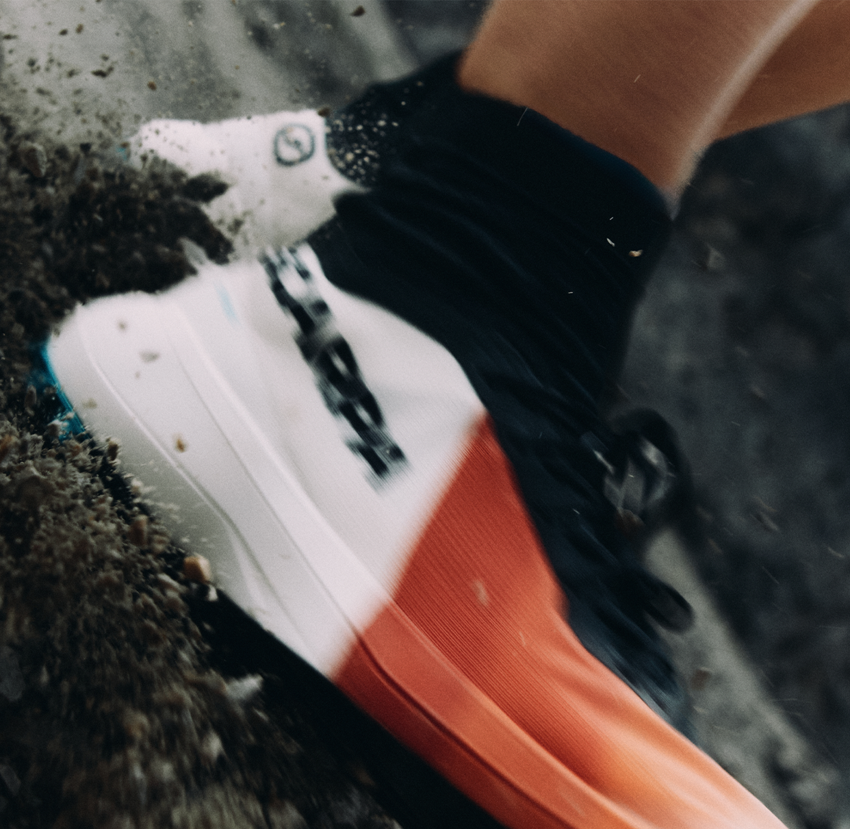 Scarpa Image