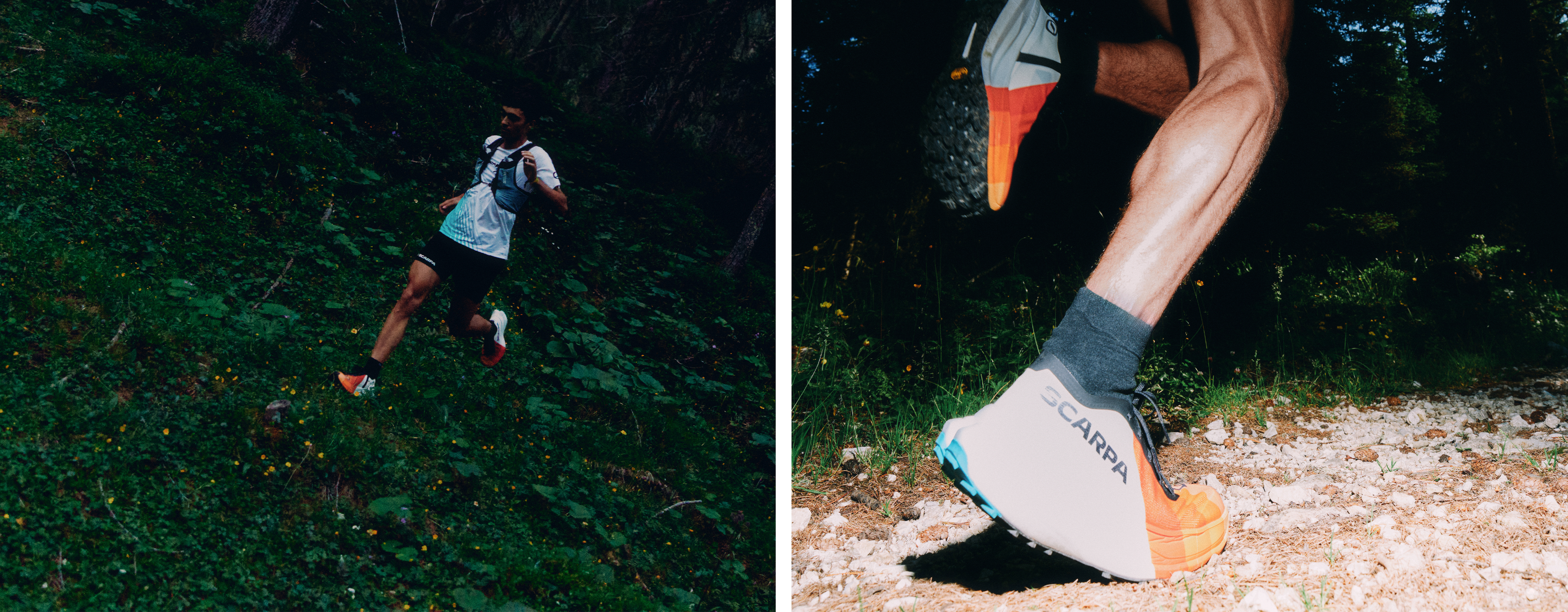 Scarpa Image