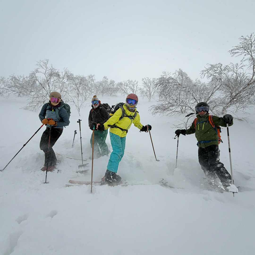 Dreams, Doors, and A colorful Future: Reflections From Hokkaido