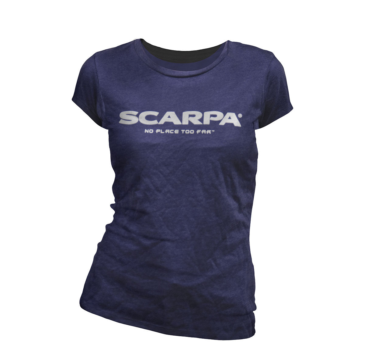 売れ筋商品|||カスパー カットソー トップス レディース Women's Button-Cuff Crewneck T-Shirt Dark Sea Stone CREW-NECK COTTON T-SHIRT - DARK BROWN | COS