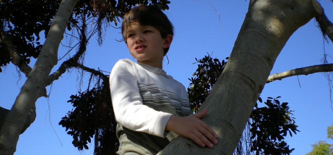 Tips on How To Support Your Child In Finding an Athletic Outlet  Image