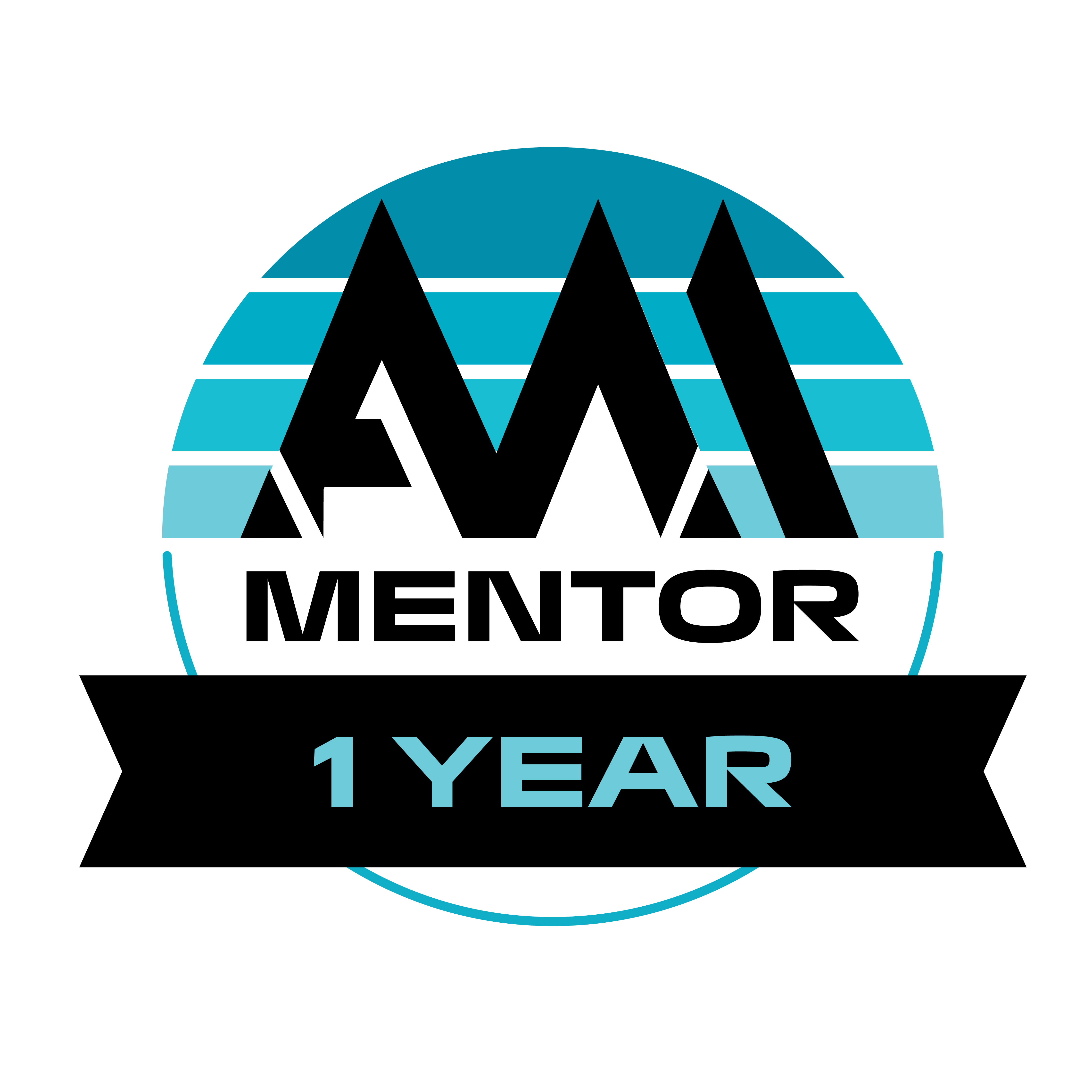 1 Year Mentor